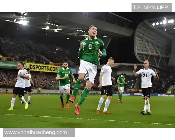 北爱尔兰与荷兰激战在即球迷期待精彩对决与历史交锋