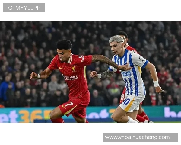 利物浦与布莱顿精彩对决瞬间回顾及赛后精彩图片分享